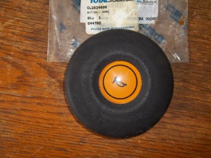 Button, Horn resmi