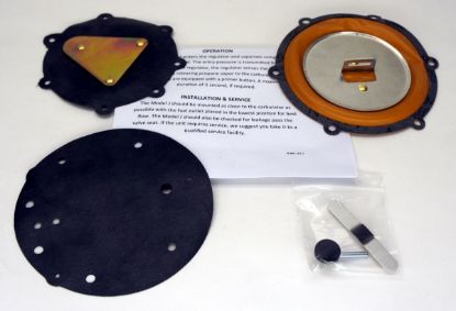 Repair Kit, LPG Regulator JB-2 resmi